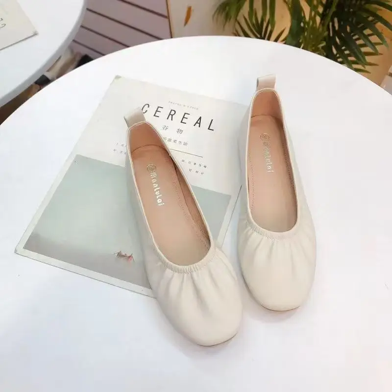 Women'S Fashion Quick Delivery - Koreaanse Stijl Dames Schoeisel Casual Dames